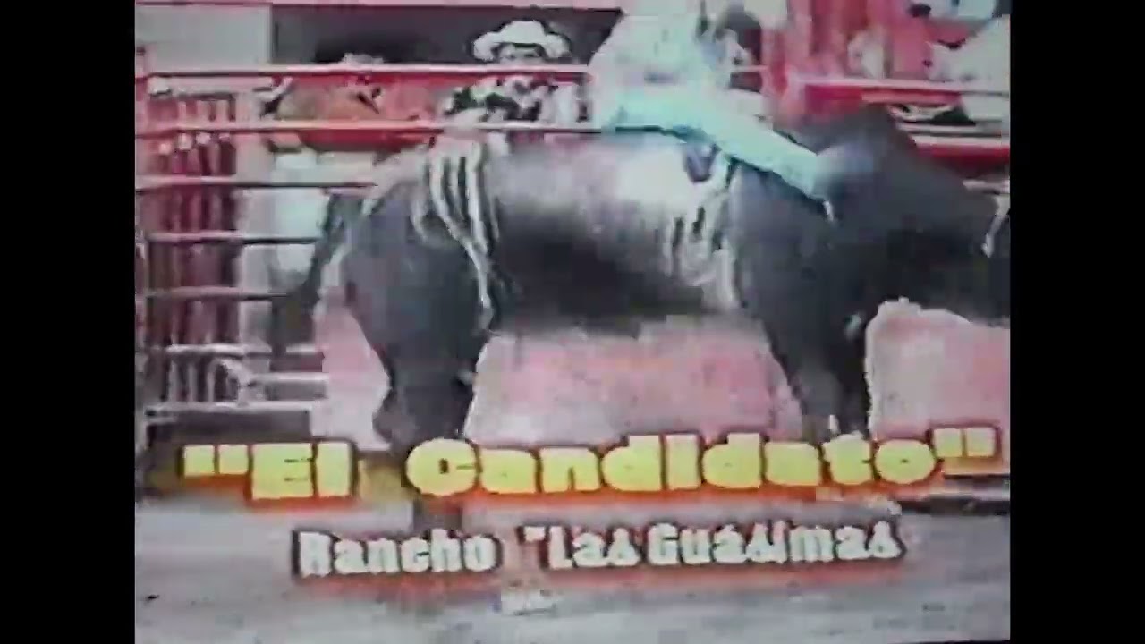 El corrido del tevis el rey del rodeo