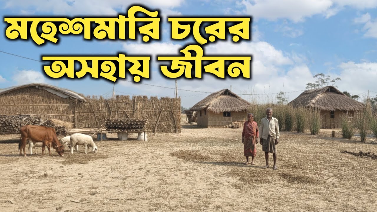 || সীমান্তের শেষ মহেশমারি চরের সংগ্রামীণ জীবন || life of India's most remote village ||