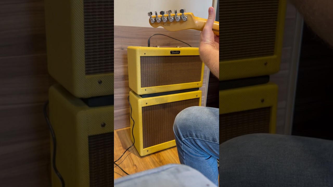Fender 5E3 Mojotone celestion blue