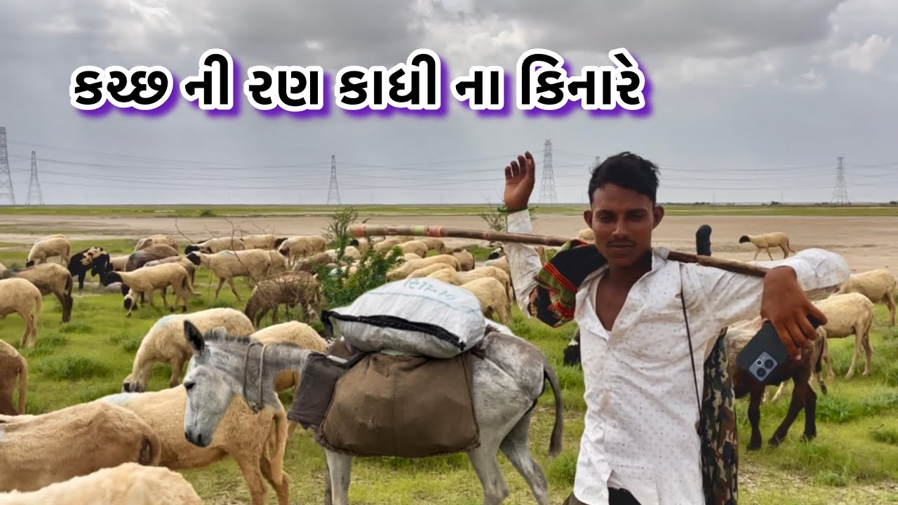 કચ્છ ના રણ કાધી મળેલ માલધારી જાણી ને નવાઈ લાગી 