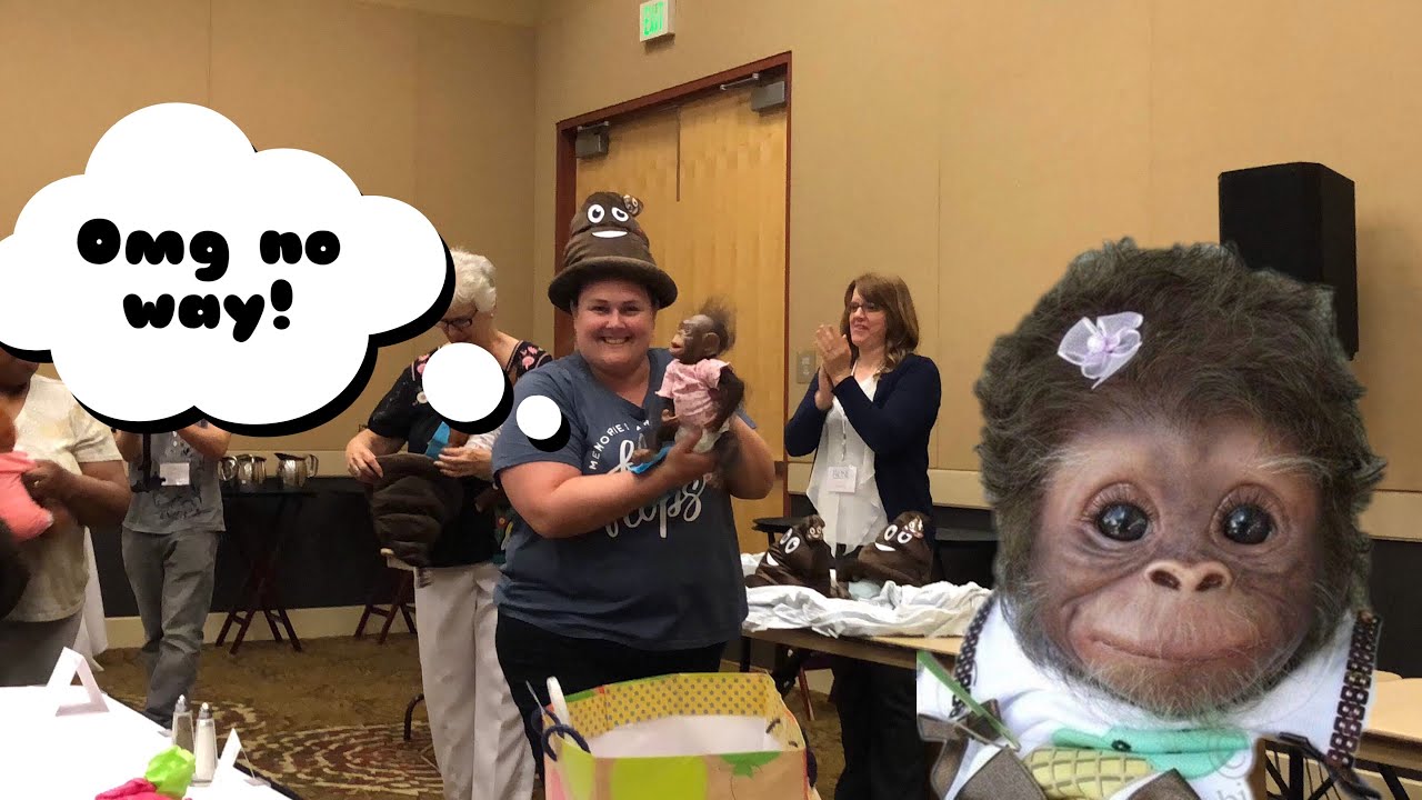 Real Monkeys?!! Baby Shower - Rose Doll Show 2018 - nlovewithreborns2011