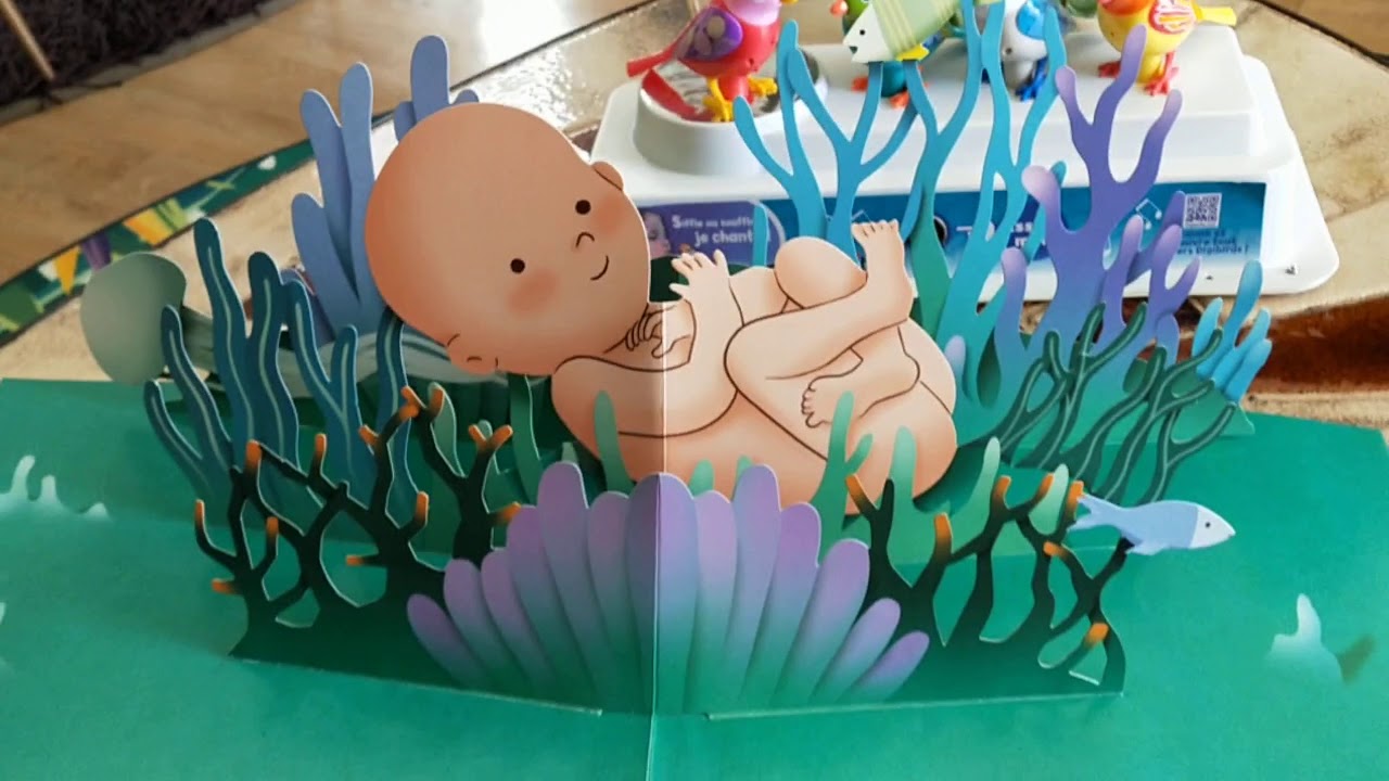 Découverte d'un pop up ou livre à système