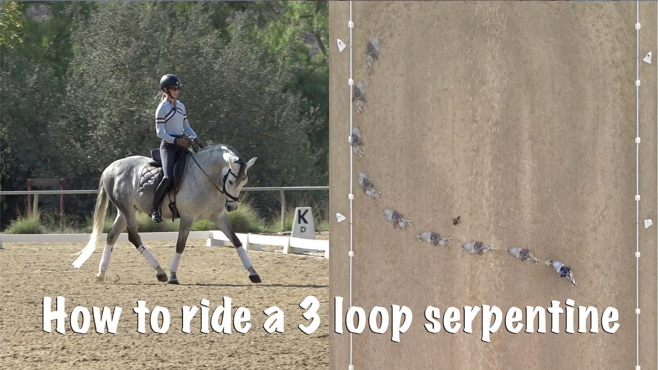 The 3 Loop Serpentine: Basic Dressage Moves!