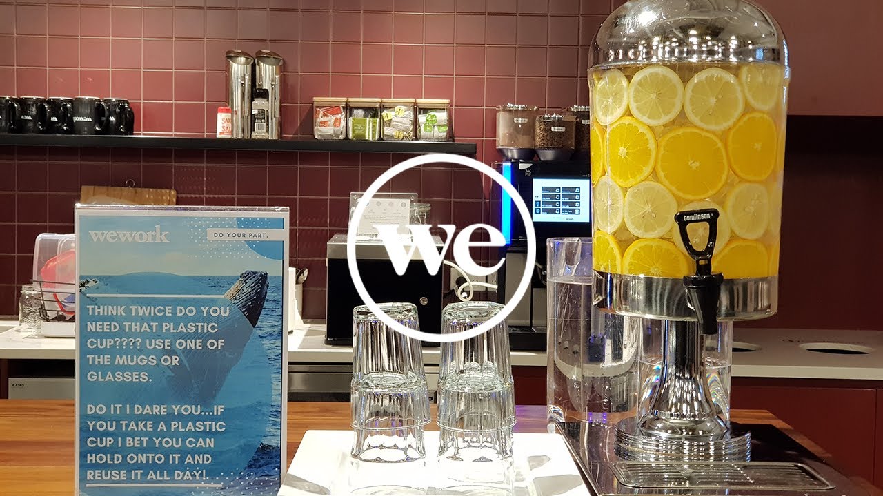 How WeWork Creates Sustainable, Eco-Friendly Office Spaces | WeWork
