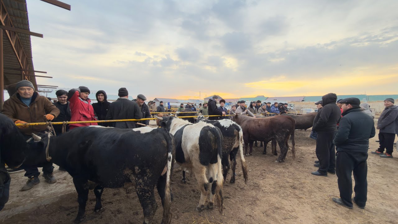 БЕРУНИЙ ХУКИЗ БОЗОРИ 1 КИСМ 08.03.2026