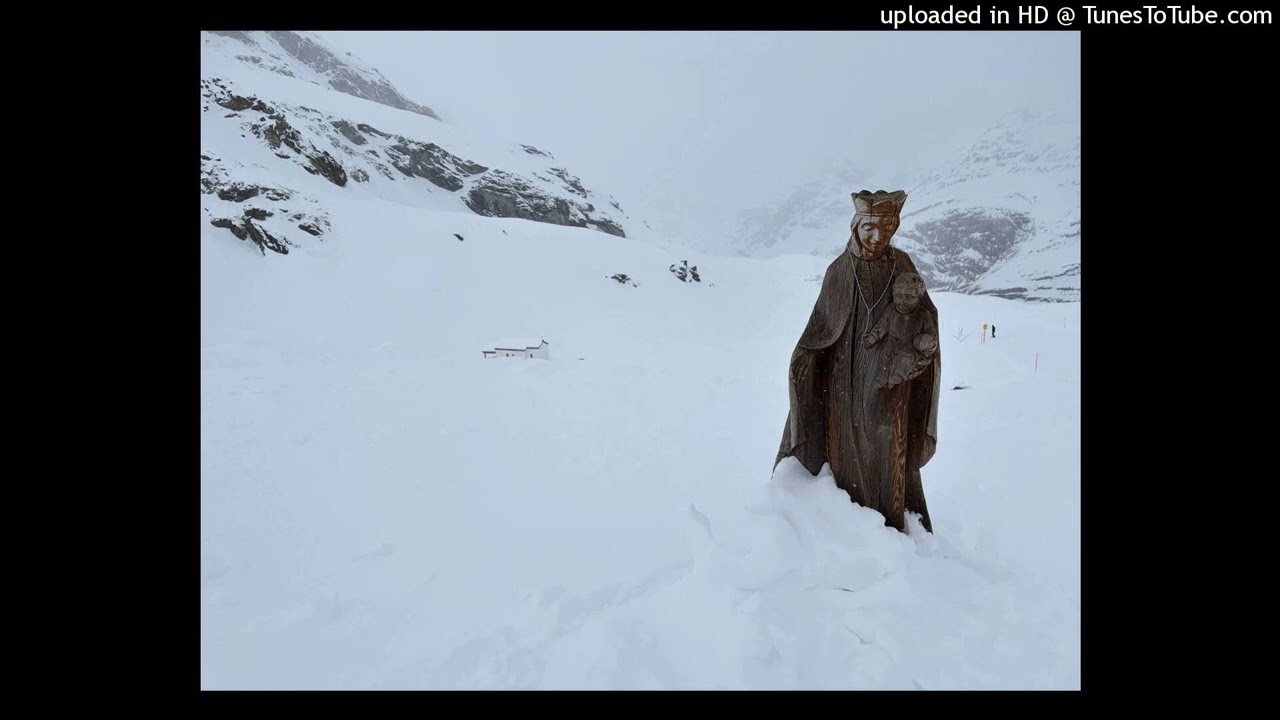 [free for profit] prettifun + protect + che + nettspend type beat - 