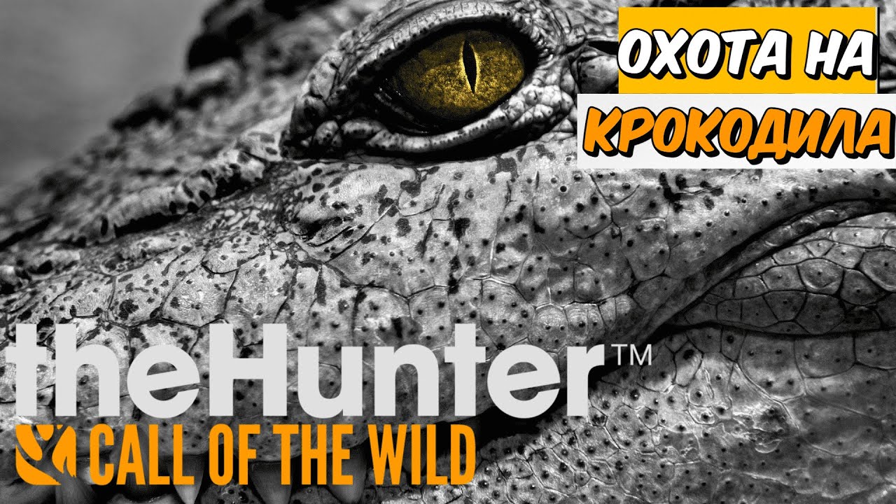 ОХОТА НА ГРЕБНИСТОГО КРОКОДИЛА🐊 В theHunter Call of the Wild - Emerald Coast Australia