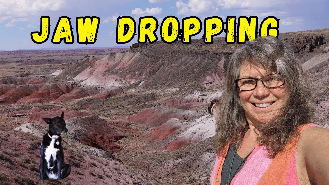 Petrified Forest National Park- on the Road in  New Mexico and Arizona / RV Life Road Trip