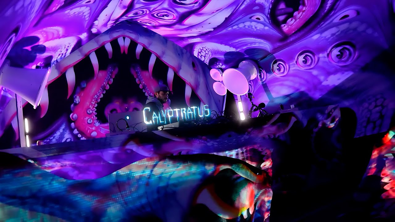 Calyptratus @ Naturaíz Festival 2024