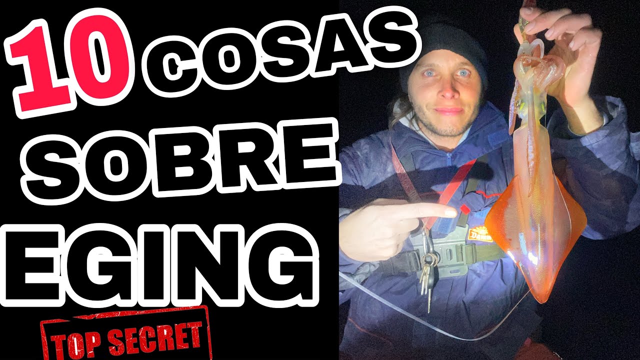 10 COSAS SOBRE LA PESCA DEL CALAMAR A EGING