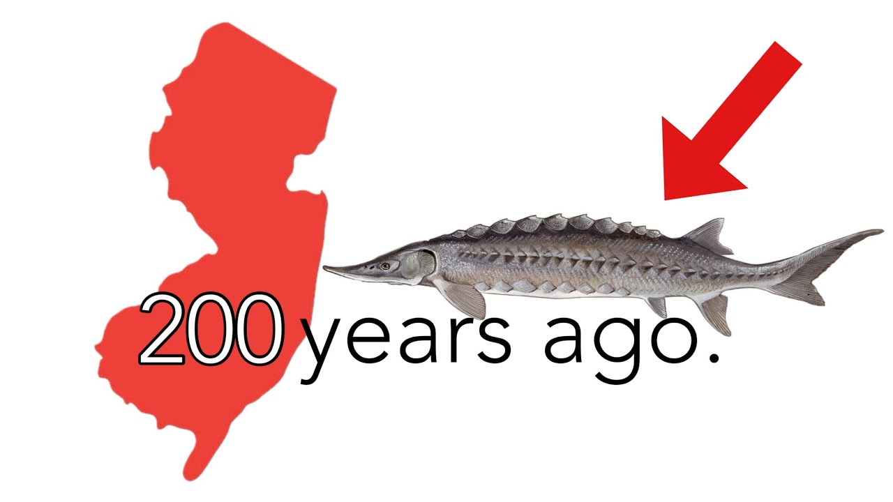 What was Fishing Like in NJ 200 Years Ago?