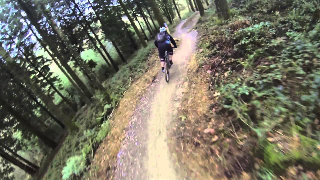 Lanhydrock Trails
