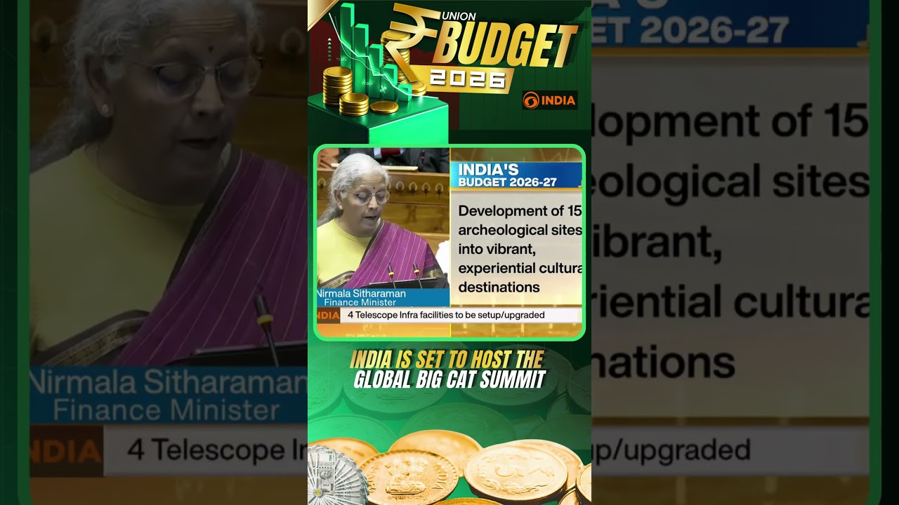 FM Announces Global Big Cat Summit as India Takes Conservation Lead