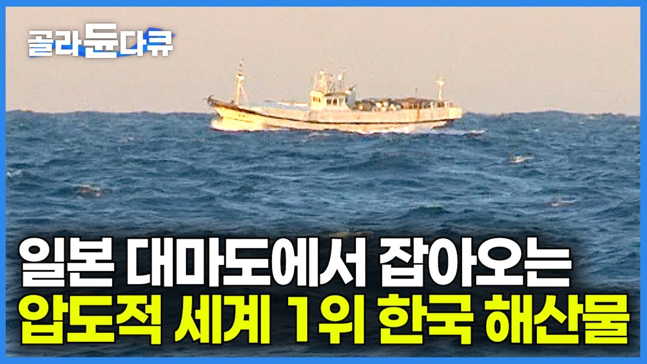 부산에서 출발해 대마도 앞바다에서 3,000kg! 일본이 알아서 먼저 모셔가는 압도적 세계 1위 한국 해산물｜5박 6일 만선 출항기┃자연산 붕장어잡이┃극한직업┃#골라듄다큐