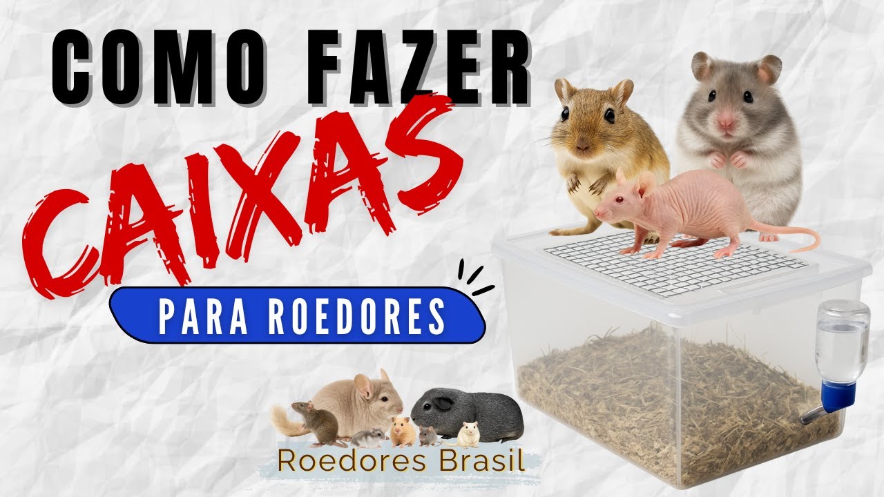 🐭 Aprenda a Montar Caixas para Roedores 🔧 Passo a Passo Completo + Materiais e Instalação