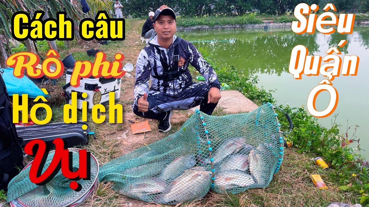 Hướng dẫn cách câu rô phi hồ dịch vụ ( Bài Mồi Câu rô đại phi F1)