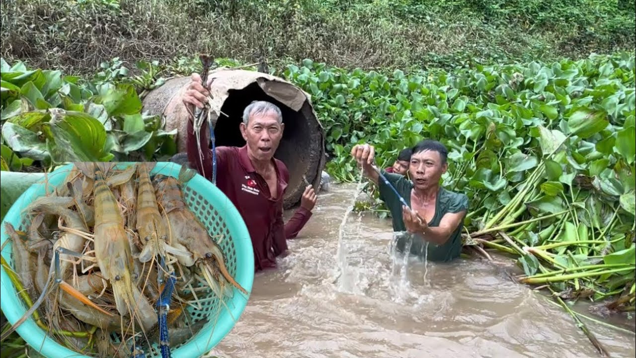 Tôm Càng Xanh kho Mắm // Săn bắt trải nghiệm một ngày trên Cồn Hoang VXĐ 1050 
