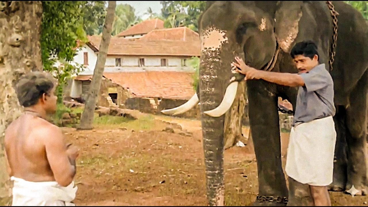 നിന്നെ ഇത്രയും വലുതാക്കിയത് ശങ്കരൻ നായരല്ലേ അയാളോട് ഇങ്ങിനെ പെരുമാറാമോ | Sindooracheppu