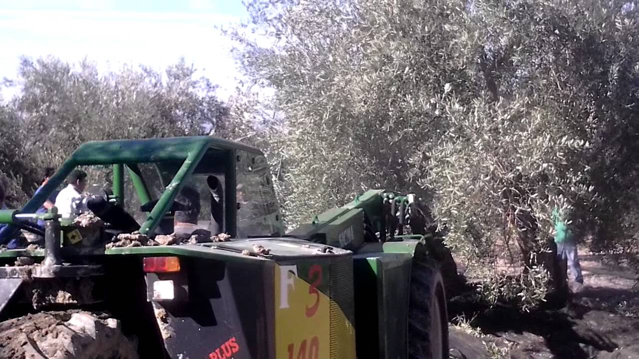 BUGGY SICMA F3 + BARRAZA & PELLENC 5000