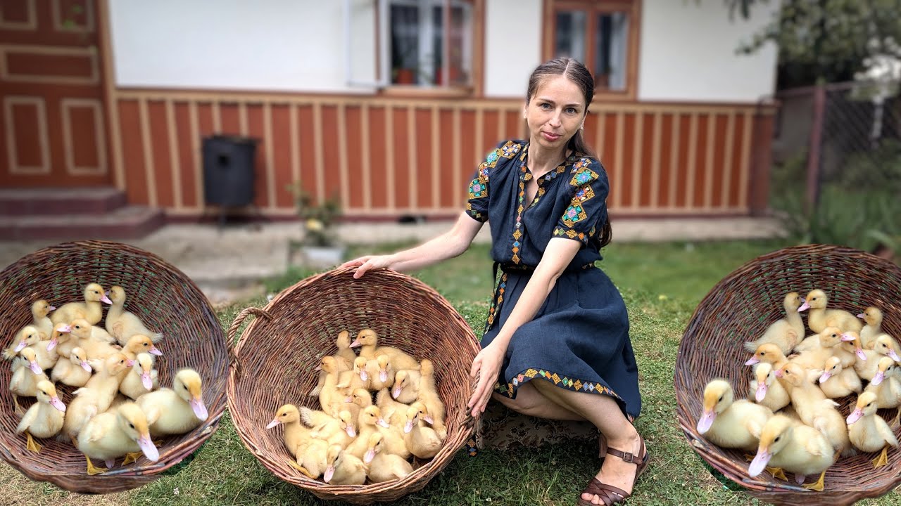 Тяжке життя в селі. Будівництво качиного будиночка. Приготування вечері з українських гір