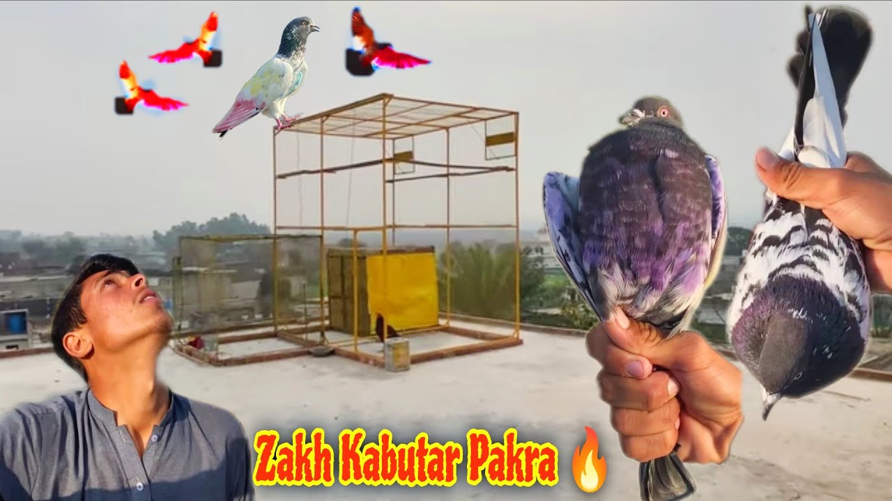 Kamal ka Rampurii 
