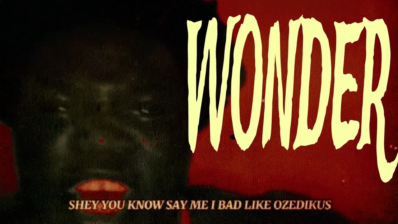 HEARTLY CK - WONDER (VISUALIZER)