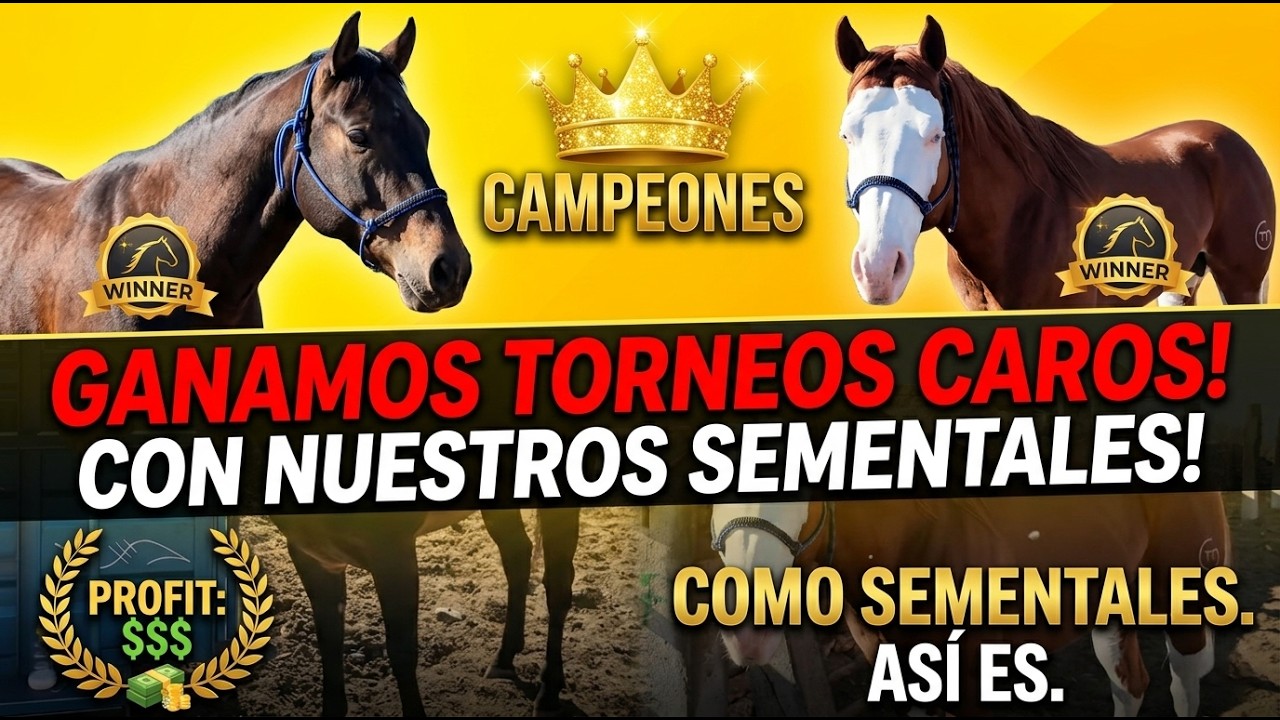 CON MI CABALLO EMOS GANADO BARIOS TORNEOS CAROS Y LOS TENEMOS COMO SEMENTALES