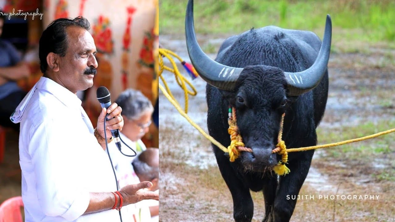 ನಾರಾವಿಯಲ್ಲಿ ನಡೆದ ಚೆನ್ನನ ಸನ್ಮಾನದಲ್ಲಿ, ಎಡ್ತುರು ರಾಜೀವ ಶೆಟ್ಟಿಯವರಿಂದ ಚೆನ್ನನ ಯಶೋಗಾಥೆ|Life Story of Chenna|
