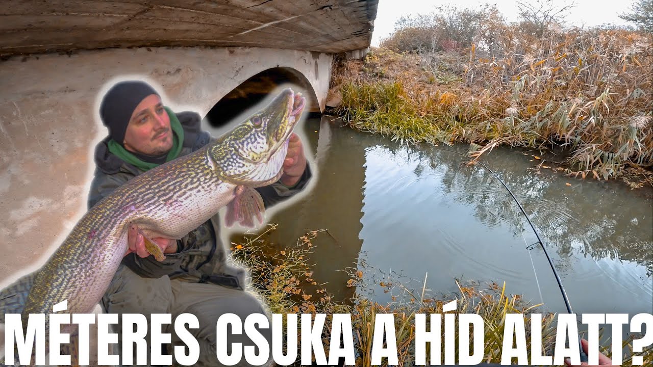Méteres csukák a kanálisból és pergető verseny!