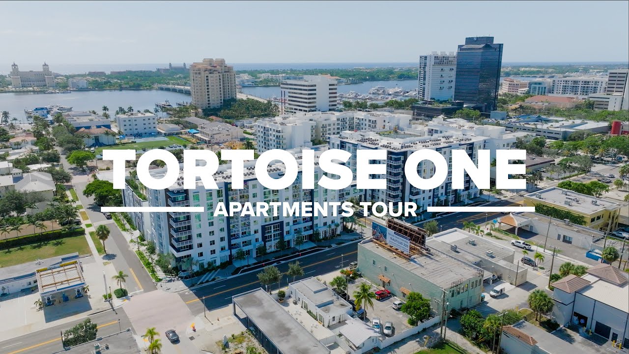 Tortoise One Apartments Tour
