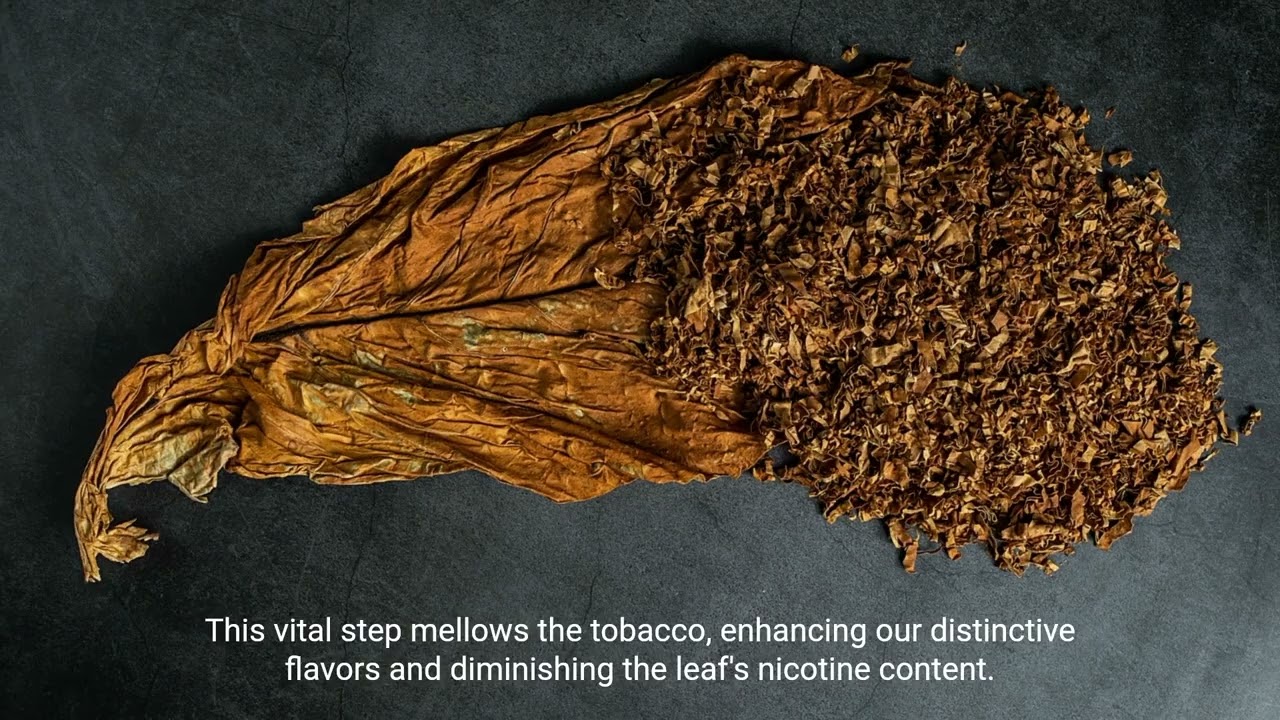 Fabrica De Puros International: From Seed to Smoke