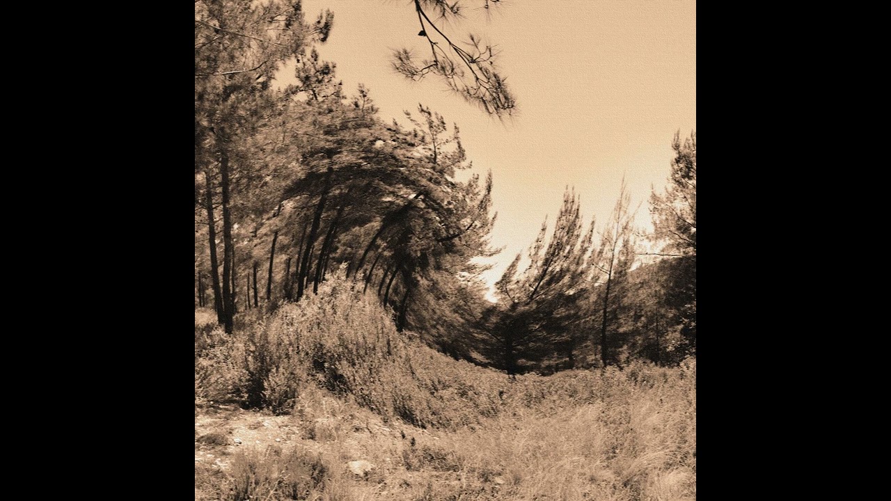 farazi v kayra - dobro vecer slowed reverb