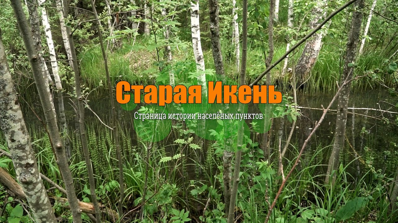 Старая Икень