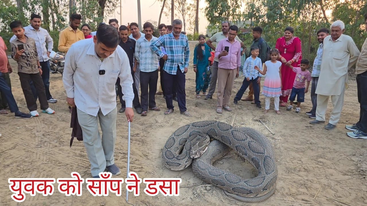 युवक को सांप ने डसा, पहले बाबा पर गए फिर हस्पताल, देरी से हो गई मौ#त ///9255130130