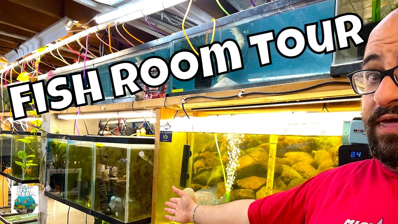 Fish Room Tour