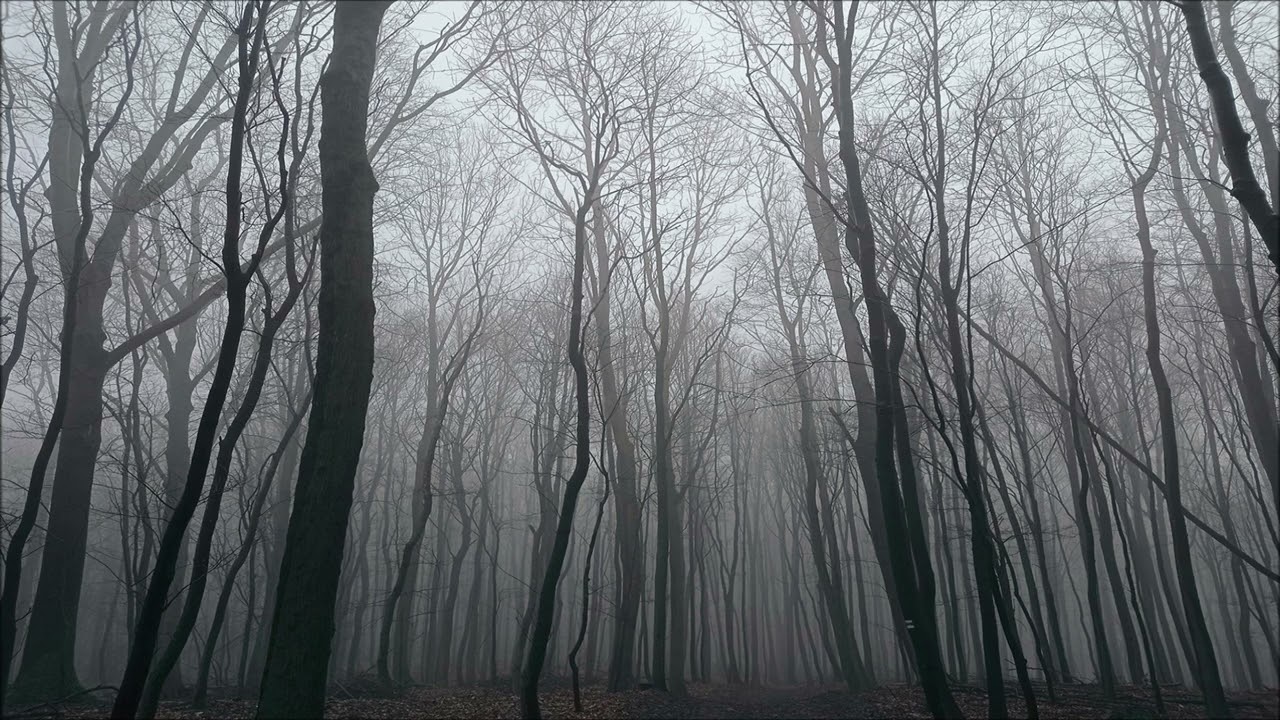 Enigmatic Zero // Tageslicht (Daylight)