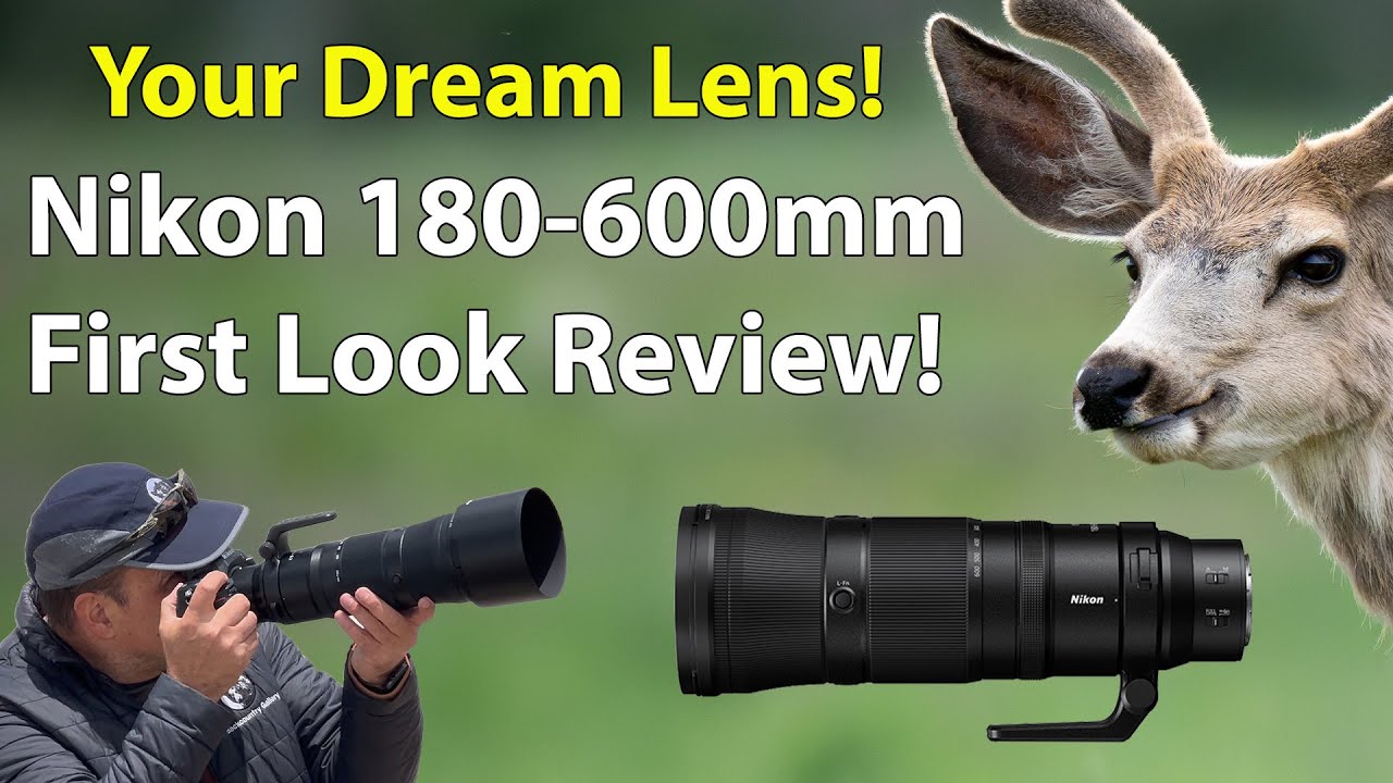 Nikon 180-600mm First Look Review: A Wildlife Photographer's Field Report