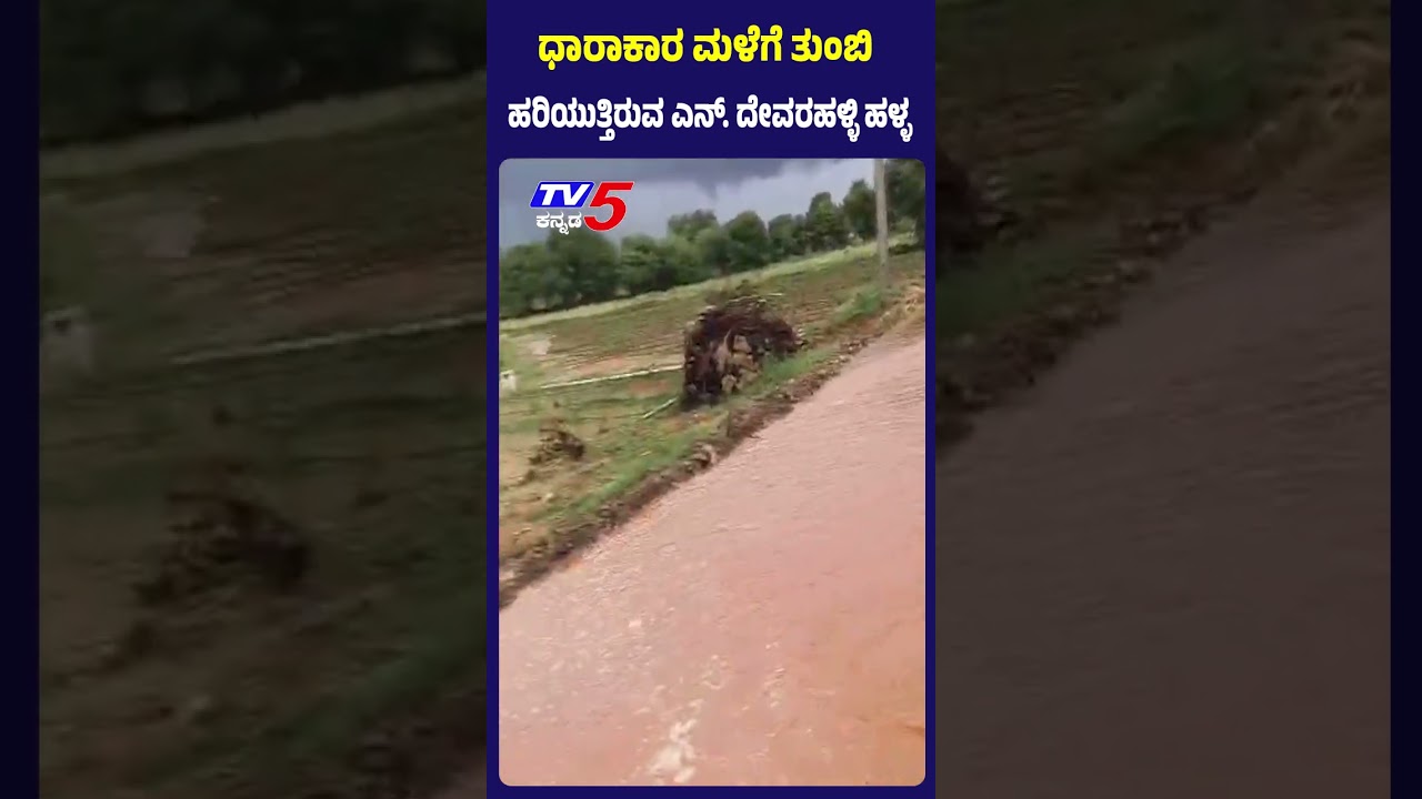 Heavy Rain Brings Relief Farmers In Chitradurga | ಧಾರಾಕಾರ ಮಳೆಗೆ ತುಂಬಿ ಹರಿಯುತ್ತಿರುವ ದೇವರಹಳ್ಳಿ ಹಳ್ಳ