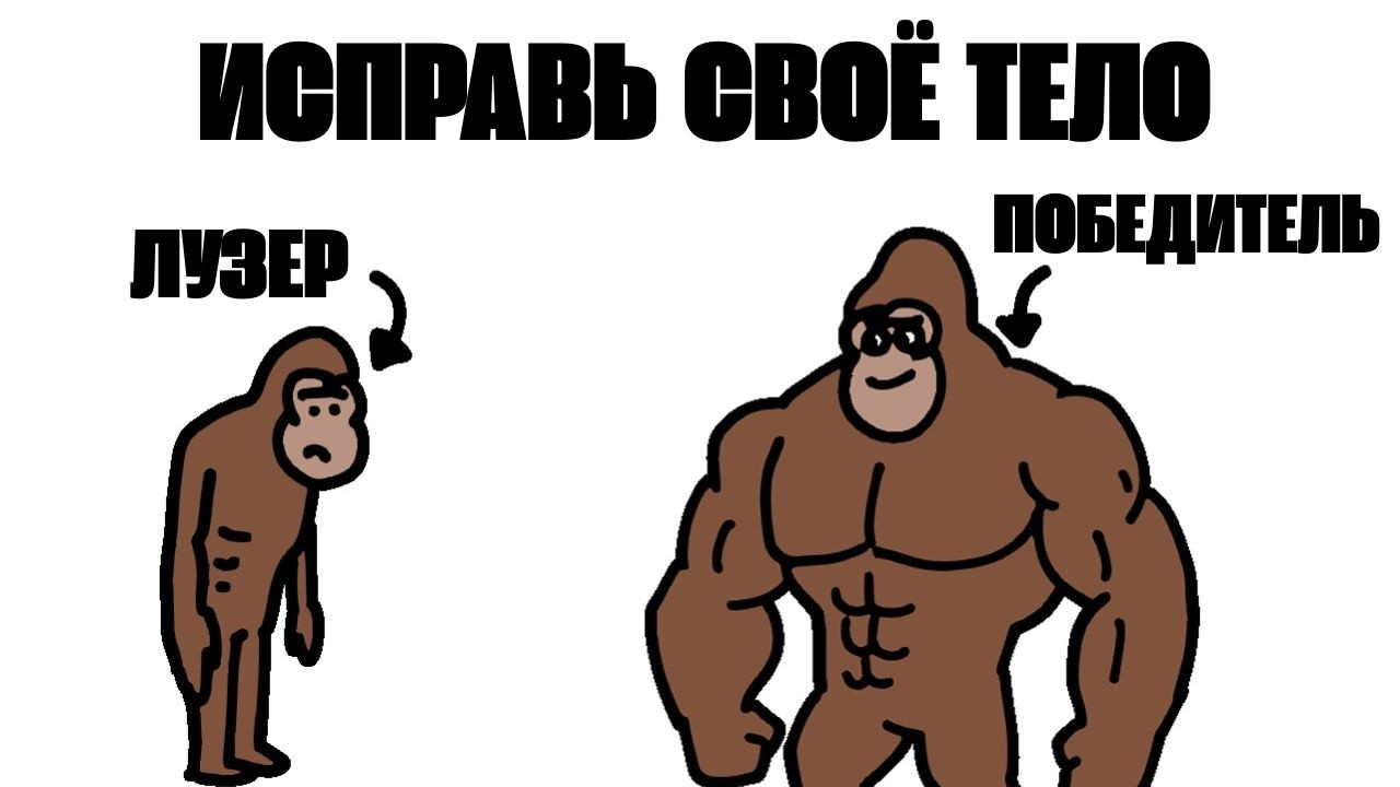 Высокий тестостерон решает почти всё — объясняет Симио