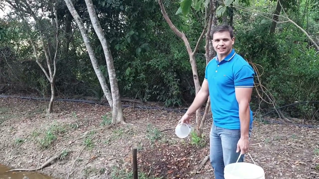Como usar sulfato de Cobre na criação de peixes..