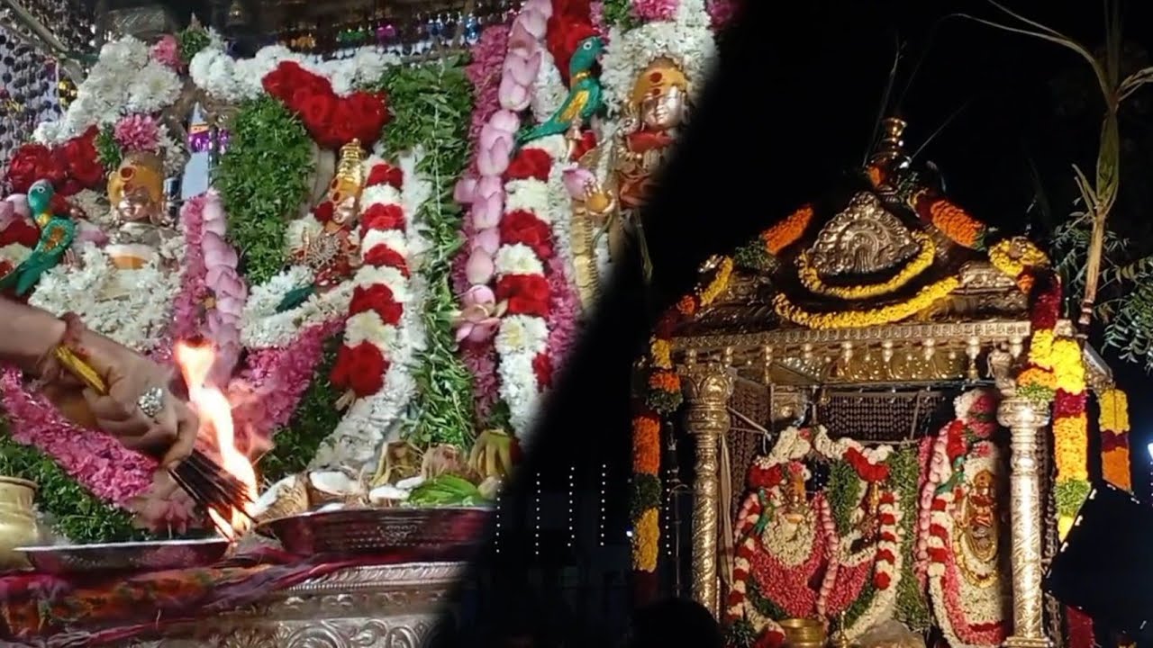 சிவசைலம் || 32ம் ஆண்டு தெப்ப உற்சவம் || 2.2.2026 || நாள் 3