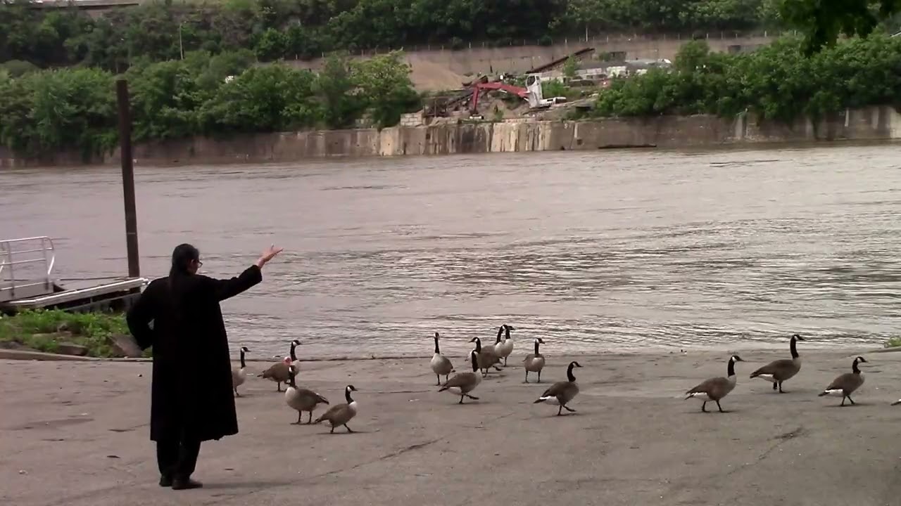 Lao Poet Yo-Yo Thrills Pittsburgh Geese. Or Maybe Not.