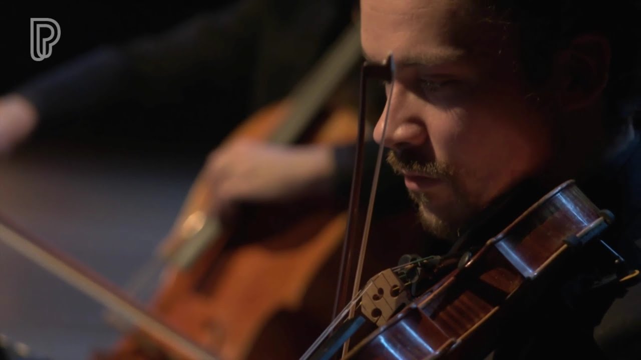 Kostas Zisimopoulos :: Nysa (2021)