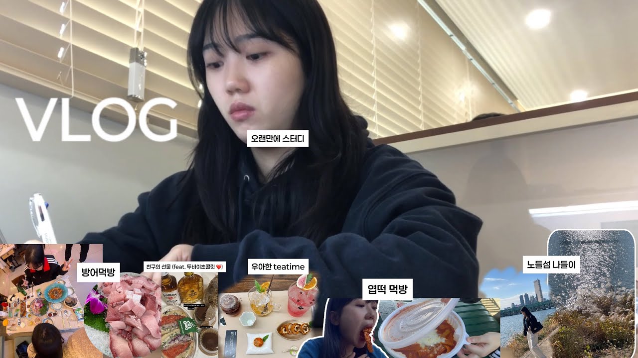 VLOG | 오랜만에 놀러온 친구와 방어 먹방 🤤| 노들섬 나들이 | 엽떡 먹방 | 찻집가서 tea time | 두바이소라빵 먹기 | 공부 | 일상 브이로그 | 갓생도전기