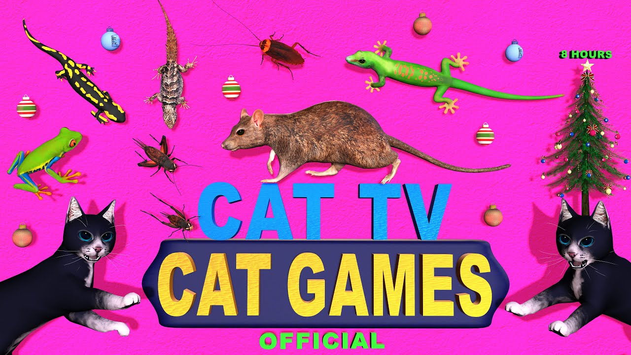 CAT GAMES | VIDEOS FOR CATS TO WATCH MOUSE, LIZARD & BUGS | CAT TV 4K 8-HOURS FOR FELINE FRIENDS