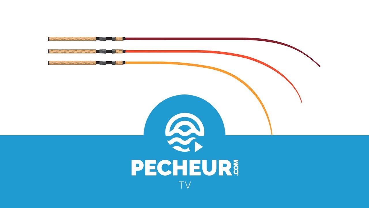 Quels types d'actions de canne à pêche choisir ?