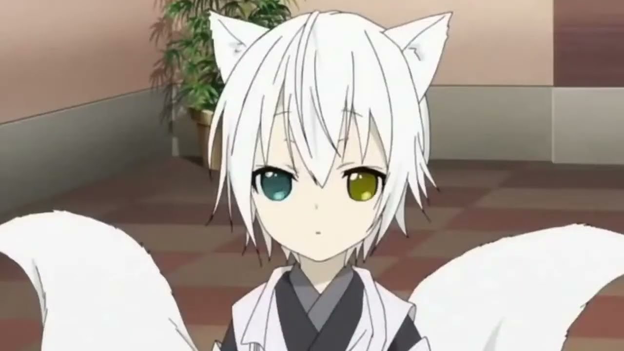 Cute Anime Shota | learn to meow