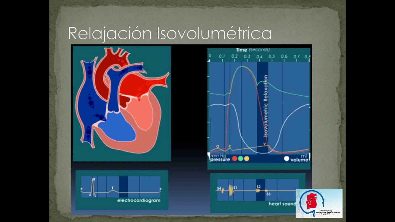 CURVA DE LA PRESION ARTERIAL.