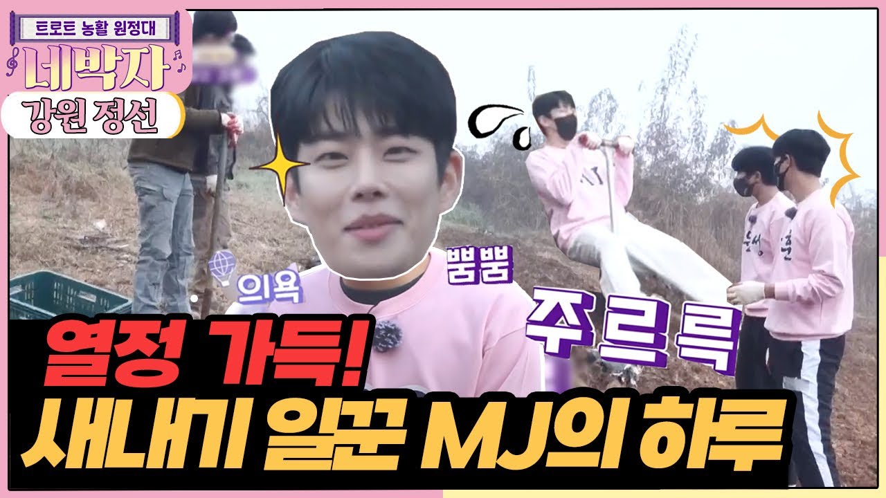 [네박자] 꽃보다 네박자, 꽃 같은 고향 [6시 내고향] | KBS 211110 방송