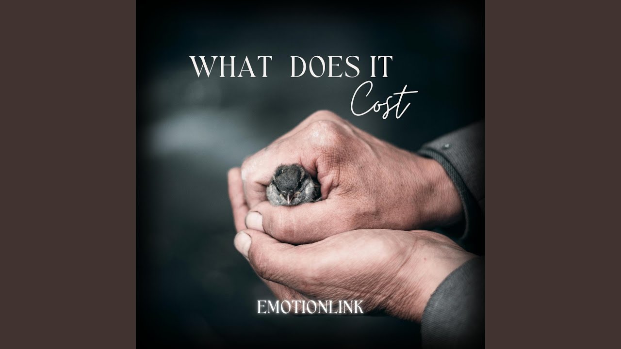 What Does It Cost